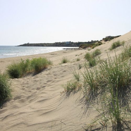 9orthi-ammos-beach-sanddune