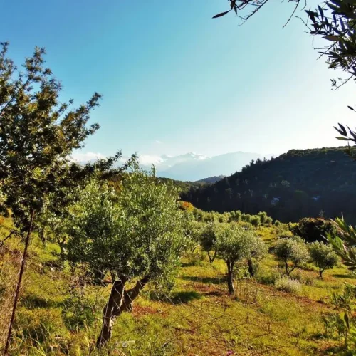 Nature-walk-of-Douliana-Almyrida-1-1