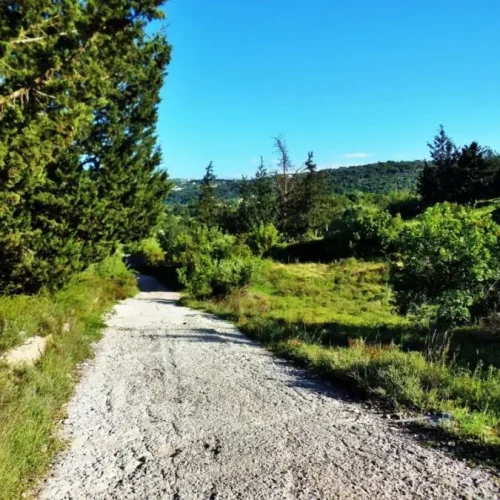 Nature-walk-of-Douliana-Almyrida-10-1-e1548508735292