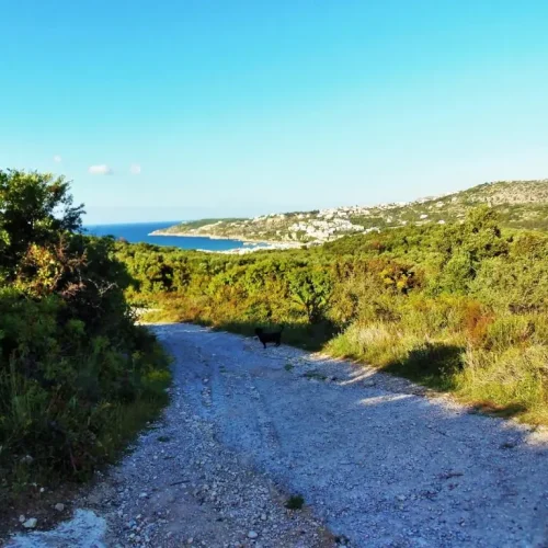 Nature-walk-of-Douliana-Almyrida-3-1