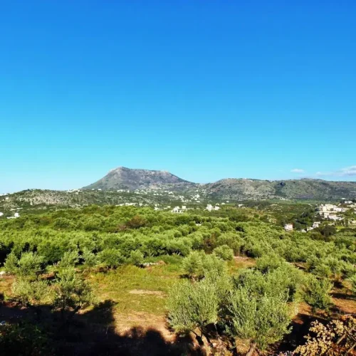 Nature-walk-of-Douliana-Almyrida-4-1