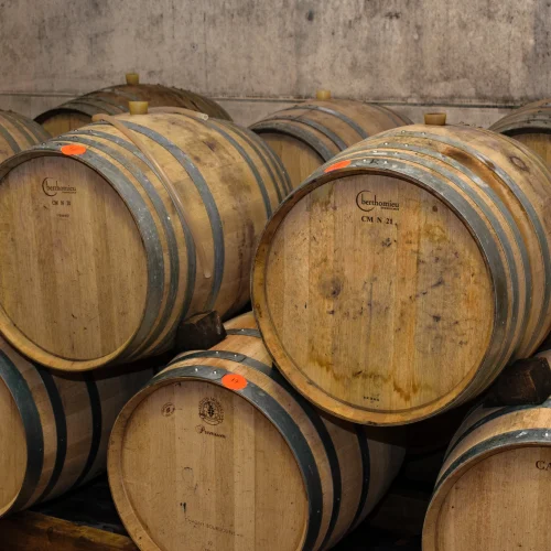 Wooden wine barrels