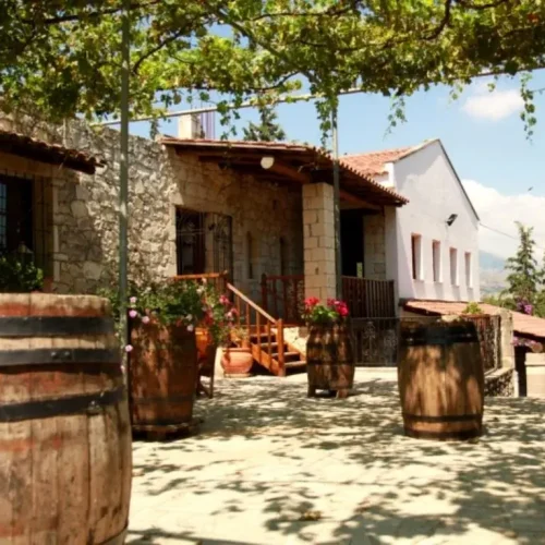 Wine-Tour-Explore-the-Cretan-Wines-Spirits-13