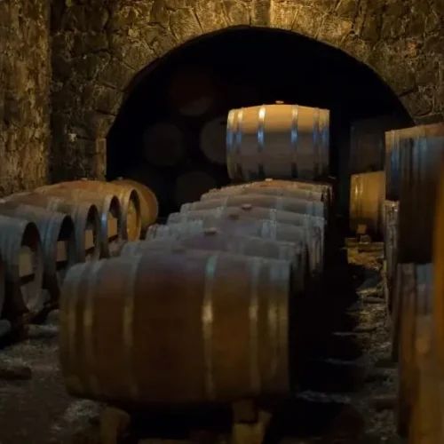 Wine-Tour-Explore-the-Cretan-Wines-Spirits-19